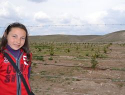 Konya Şeker İnsuyu Kasabasına Fidan Dikti