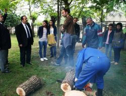 Ağaçta Mantar Yetiştiriciliği Çiftçilerin Kazanç Kapısı Oldu