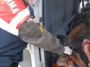 İstanbul'da At Eti Operasyonu