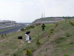 Şüpheli Paketten Ağzında Muska Bulunan Kesik Tilki Kafası Çıktı