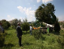 Bursa'da Yeşil Transferi Başladı