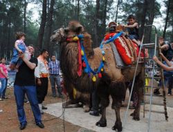 Geçmişe Yolculuk Projesi İle Yörük Göç Kültürü Canlı Tutulacak