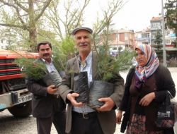 Çubuk’ta ‘her Çocuk Bir Fidan Kampanyası’ İle 5 Bin Fidan Dağıtıldı