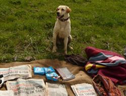 Terör Örgütü Pkk'nın 7 Sığınağı İmha Edildi