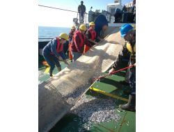 Balık Varlığını Kurtarmak İçin Tekne Sayısı Azaltılacak