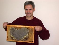 Arılar Kalp Şeklinde Bal Yaptı