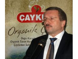 Sütlüoğlu: Çay Alımında Kaliteden Taviz Vermeyeceğiz