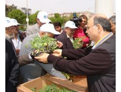 Kocasinan Belediyesi, Vatandaşlara Yerli Domates Fidesi Dağıtacak