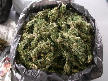 Yüksekova'da esrar baskını