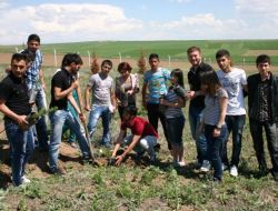 Boğazlıyan Meslek Yüksekokulu Bahçesinde, 2 Bin Çam Fidanı Toprakla Buluştu