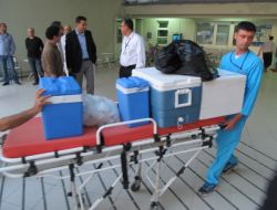 Beyin Ölümü Gerçekleşen Hastanın Organları 3 Kişiye Umut Olacak