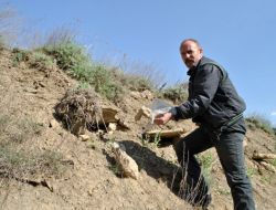 Mezarlıktaki Kemikler Ortaya Çıktı