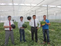 Serikli Üretici 2011'de 10 MilyonTl Hibe Desteği Aldı