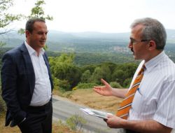 Aydın Şengül, Çam Fıstığında Rekolte Düşmesini Yerinde İnceledi