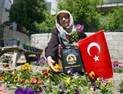 Denizli’de En Güzel Bahçe Yarışmayla Seçilecek