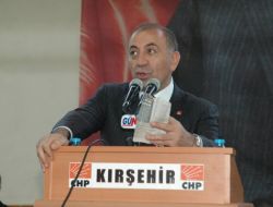 Gürsel Tekin: Bozuk Sütün Kaynağı Anguslara Gidebilir