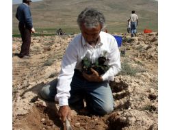 Çıplak Tepeler 100 Bin Fidanla Yeşerecek