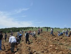 Merhum Muhsin Yazıcıoğlu Adına Sorgun’da Hatıra Ormanı Oluşturuldu