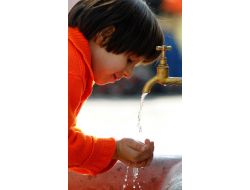 İzsu, Suyun Yüzde 100 Sağlıklı Olduğu Konusunda Israrlı