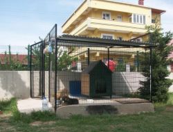 Okul Bahçesine Hayvan Kulübesi Yaptılar