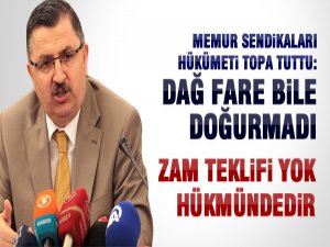 'Dağ fare bile doğurmadı!'