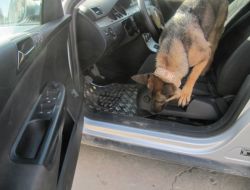 Şırnak’ta 24 Kilogram Uyuşturucu Ele Geçirildi