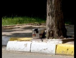 Şüpheli Düdüklü Tencere Polisi Alarma Geçirdi