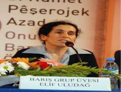 Kandil'den İnen Pkk'lılar Kızıltepe'de Panel Düzenledi