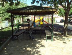 Gemlik'te Keneye Karşı İlaçlama Çalışması Yapılıyor