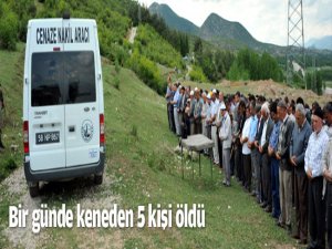 KENE YİNE CAN ALDI!..