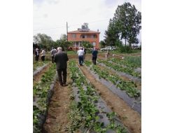 Özel İdare Destekli Yapılan Projeler Yerinde İncelendi