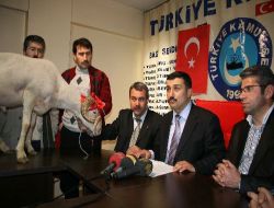 Memurlardan Koyunlu Basın Açıklaması