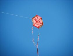 Uçurtma Şenliği Renkli Görüntülere Sahne Oldu