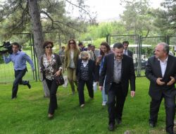 Gökçek Proje Alanlarını Gezdi!