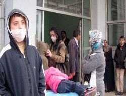Domuz Gribi Korkusu,  Acil Servisleri Felç Etti