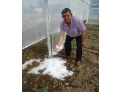 Ceviz Büyüklüğündeki Dolu Ekili Alanlara Zarar Verdi