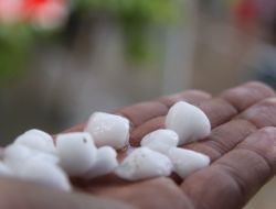 Polatlı'da Misket Büyüklüğünde Dolu