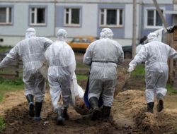 Rusya'da Domuz Vebası Alarmı