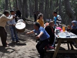 Piknik Alanlarında Davul Zurna Çalarak Yevmiyelerini Çıkarıyorlar