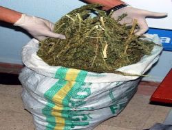 Bavulundan  5 Kilo Esrar Çıktı