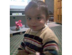 Yakup'un Kurtlanan Cesedi İstanbul Adli Tıp Kurumu'nda İncelenecek