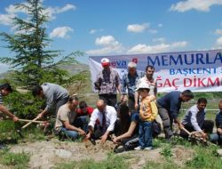 Başkent'te Memurlar Fidan Dikti