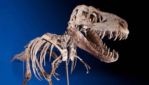 Kaçırılan dinozor satıldı!