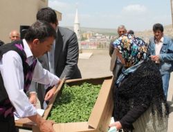 Vali İpek, Bayburt’ta Yerli Tohuma Destek Sözü Verdi