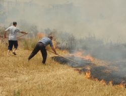 Anız Yangını Söndürmede Köpüklü Mücadele Yüzde 100 Etkili Oluyor