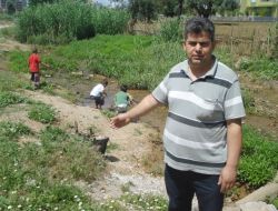 Vatandaşa Yılan Nöbeti Tutturan Dere Islah Edilmeyi Bekliyor