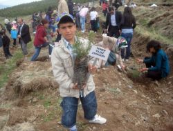 Korunmaya Muhtaç Çocuklar, Fidan Dikti