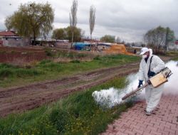 Kocasinan’da Haşereyle Mücadele İçin 400 Bin Lira Harcanacak