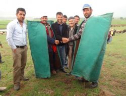 2 Bin 500 Liralık Maaşı Duyan Çobanlar Köye Geri Döndü