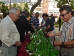 Merkezefendi 2. Geleneksel Tıp Festivali Sona Erdi